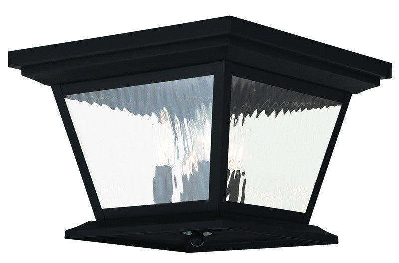 Livex Hathaway 4 Light Black Outdoor Ceiling Mount - C185-20249-04